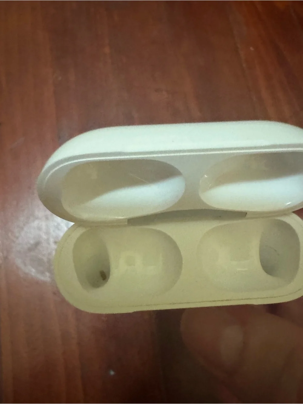 Apple White AirPods Pro 2 with Charging Case